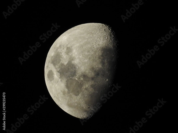 Obraz moon in the night sky