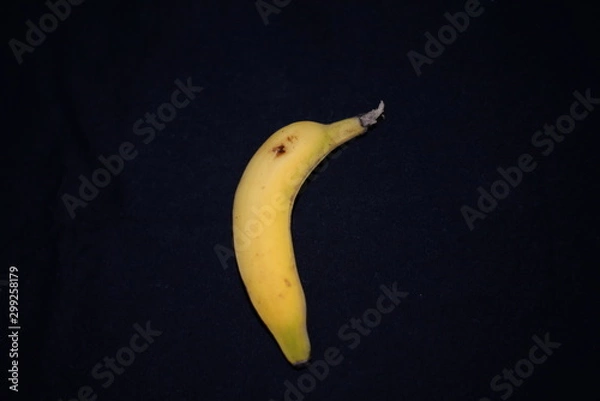 Obraz little banana
