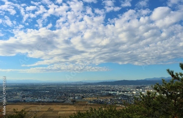 Fototapeta 風景　空　山頂から　冬　杤木