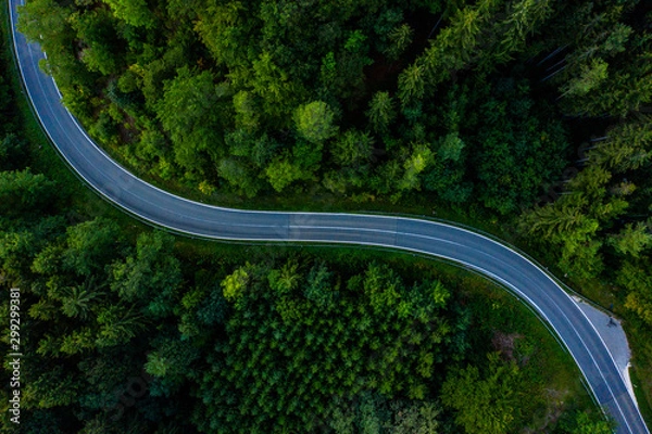 Fototapeta Straße durch Wald