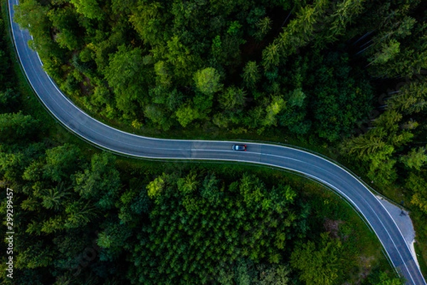 Fototapeta Straße durch Wald