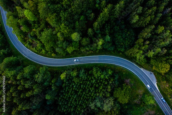 Fototapeta Straße durch Wald