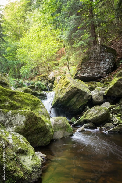 Fototapeta Wildbach im Wald