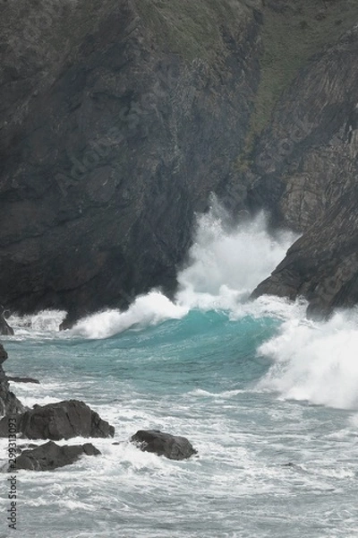 Fototapeta 東洋のガラパゴス奄美大島