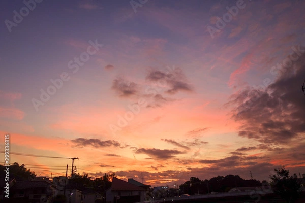 Obraz 夕方の空を見上げる