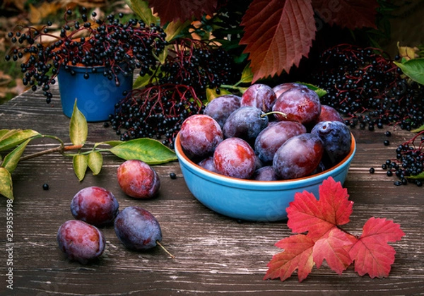 Obraz Fruit in a blue cup on a wooden table, plums, black elderberry, leaves of wild grape