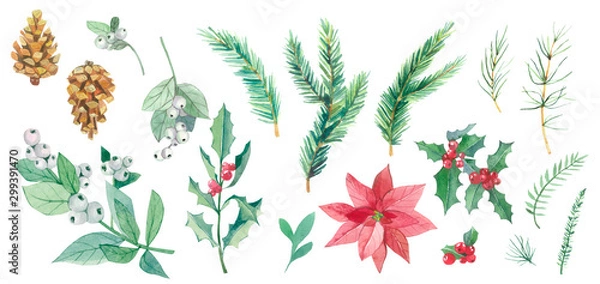 Obraz Watercolor Christmas botanical set. Hand drawn plants elements isolated on white background. Branches with snowberries, spruce, holly for invintation cards, banners, templates