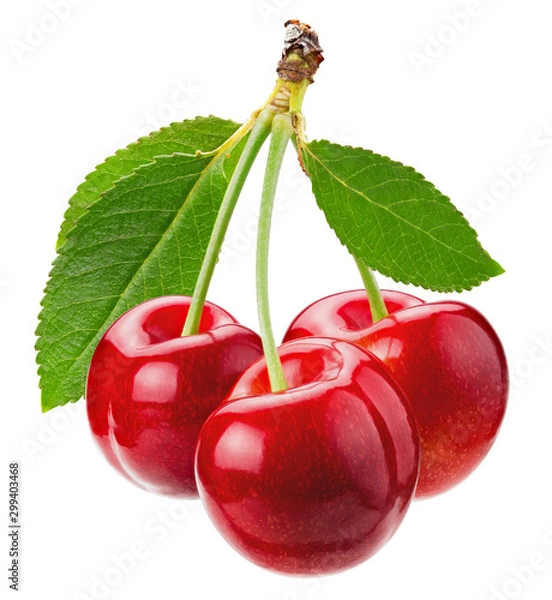 Obraz Cherries with leaves isolated on white