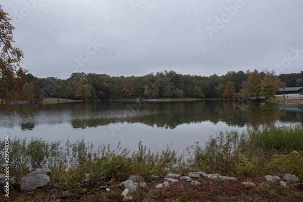 Obraz reflection of trees in water