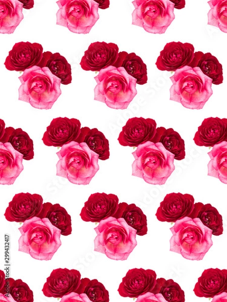 Fototapeta red and pink rose flower bouquet isolated on white background cutout. Floral seamless pattern.