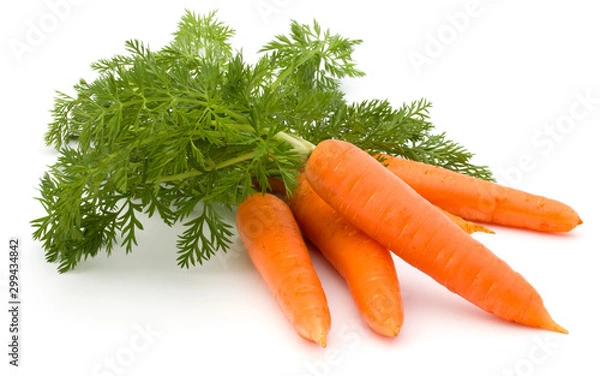 Obraz Carrot vegetable with leaves isolated on white background cutout