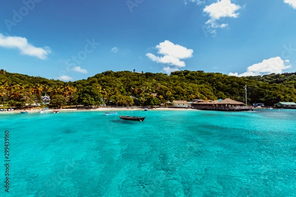 Fototapeta Saint Vincent and the Grenadines, View from Mustique Britannia Bay