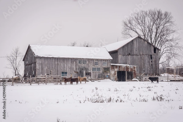Obraz old barn in winter