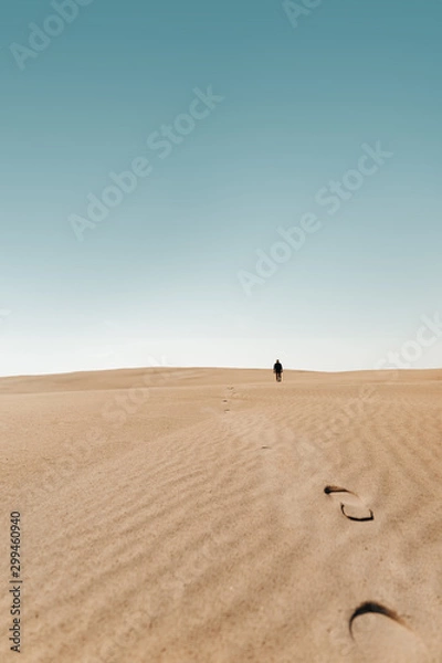 Fototapeta Person walks around around on a Sand Dune Desert