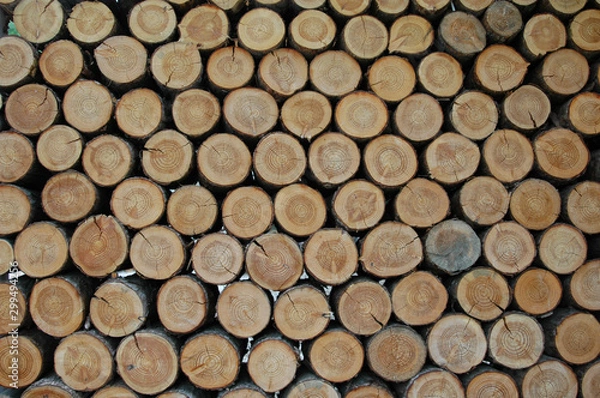 Fototapeta 통나무가 만든 패턴