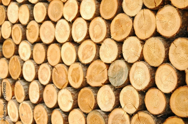 Fototapeta 통나무가 만든 패턴