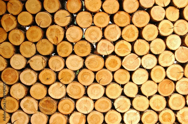 Fototapeta 규칙성을 보여주는 장작더미