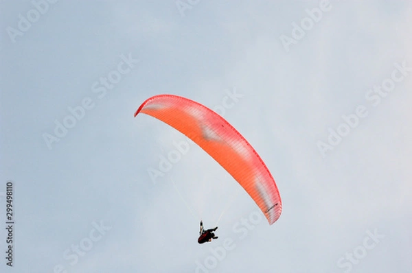 Fototapeta 자유로운 패러글라이딩