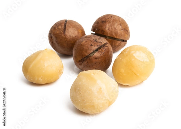 Fototapeta macadamia nuts isolated