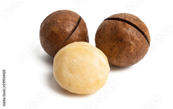 Fototapeta macadamia nuts isolated
