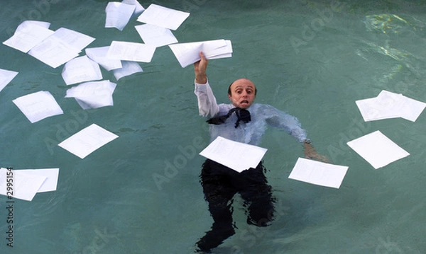 Obraz is this the balance sheet