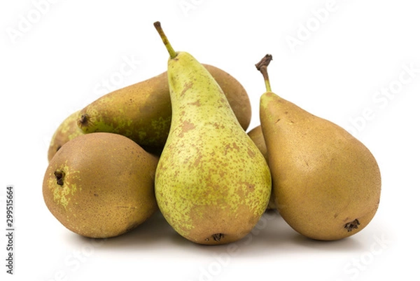 Obraz Birnen Conference