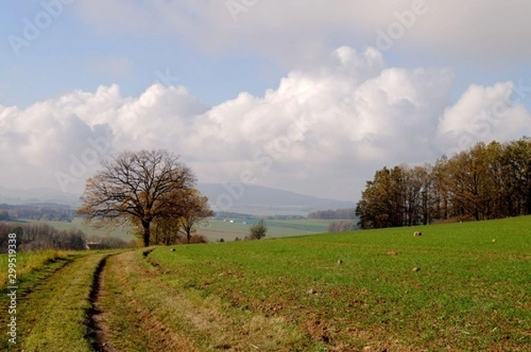 Obraz Herbstliche Landschaft