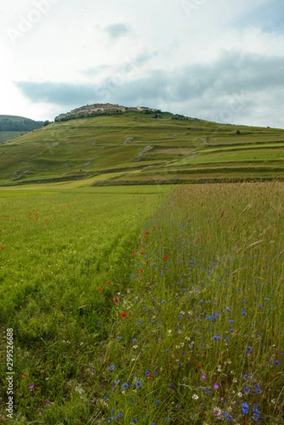 Obraz Catelluccio di Norcia