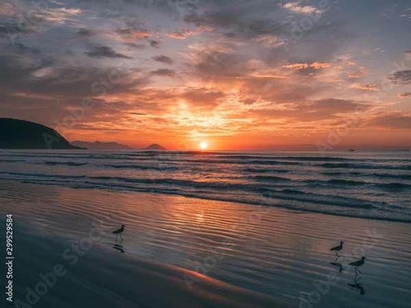 Obraz Sunrise Brazil