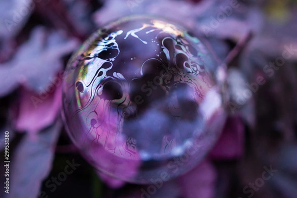 Obraz purple soap bubble