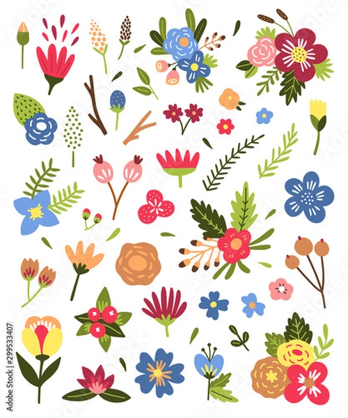 Fototapeta Flowers and plants vector illustrations on white background. Vector botanical set with colorful blossoms and bouquets