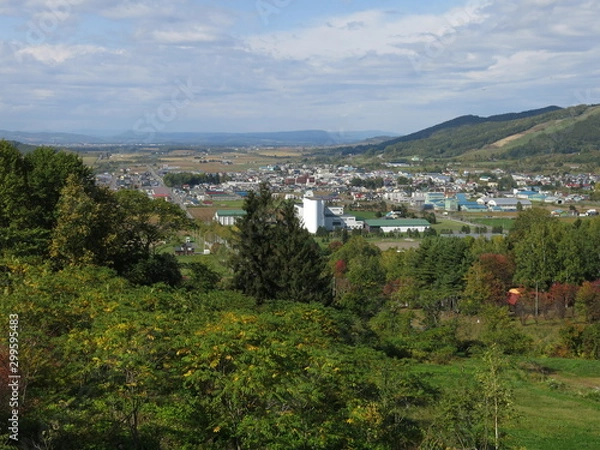 Obraz 三笠山自然公園から見る和寒市街
