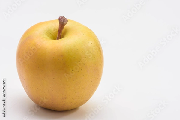 Fototapeta 青森県産　トキりんご