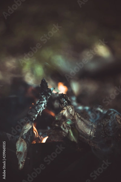 Fototapeta  огонь, дрова,  кемпинг, горение, деревья, мангал,   тлеющий, ясень, угли, текстура, весна, размытость,  ветки, лес, 