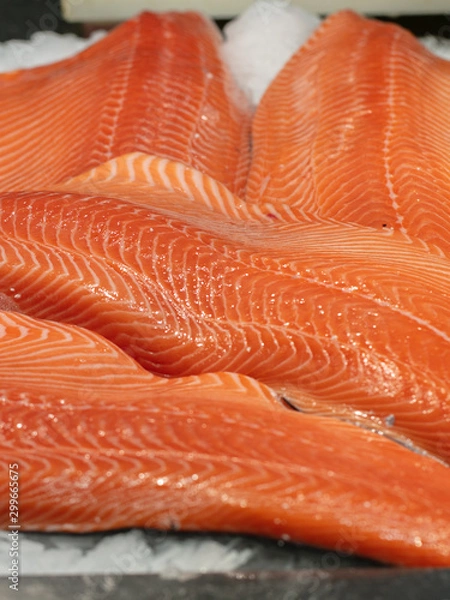 Obraz salmón