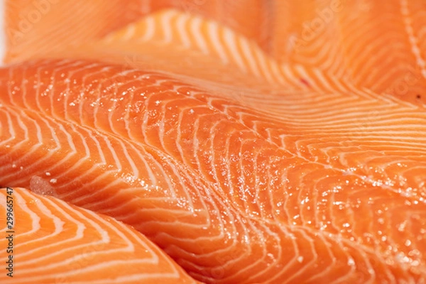 Obraz salmón