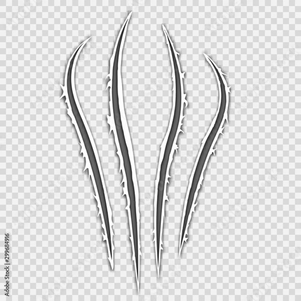 Fototapeta Black realistic claws animal scratch scrape track. Cat tiger scratches paw shape. Four nails trace. Damaged cloth. Ragged edges. Beast paw. Transparent background. Isolated. Vector illustration.