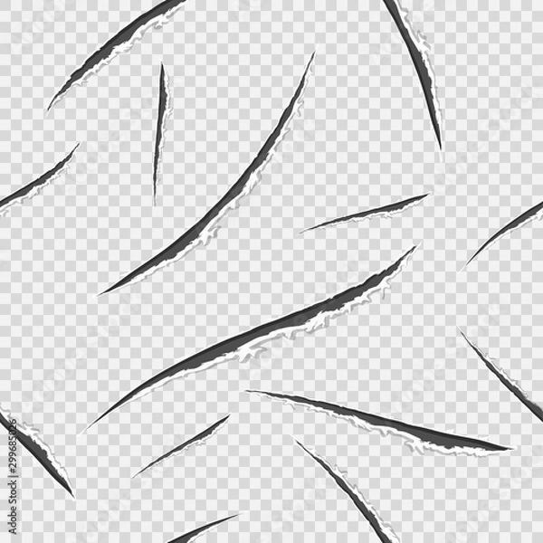 Obraz Seamless pattern with black claws animal scratch scrape track. Ragged edges. Damaged cloth. Transparent background. Vector illustration.