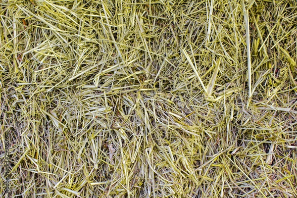 Fototapeta Yellow dry straw background