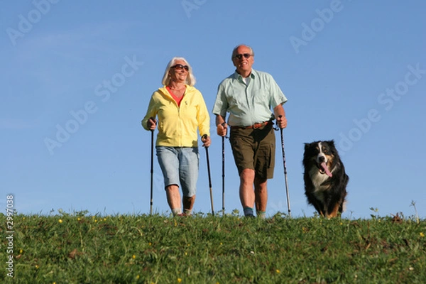 Obraz para nordic-walking