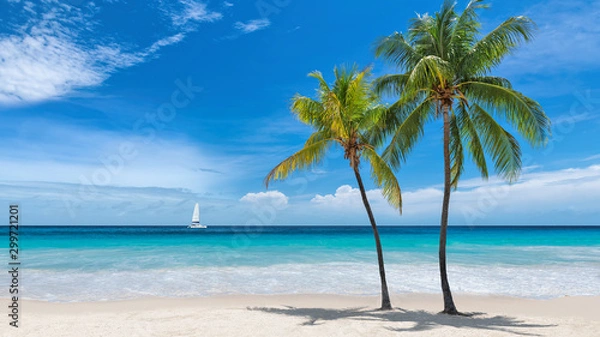 Fototapeta Rajska plaża z palmami i żaglówką w tropikalnym morzu w Key West na Florydzie