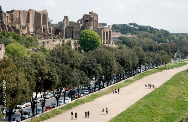 Obraz Circo Massimo e Palatino, Roma