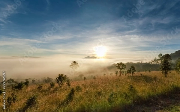Fototapeta Mountain view misty morning on meadow around with sea of fog, peak mountain and yellow light light in cloudy sky background, sunrise at Thung Salang Luang National Park, Khao Kho, Phetchabun, Thailand