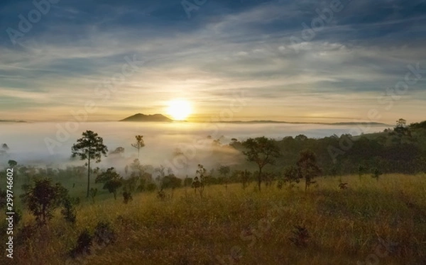 Fototapeta Mountain view misty morning on meadow around with sea of fog, peak mountain and yellow light light in cloudy sky background, sunrise at Thung Salang Luang National Park, Khao Kho, Phetchabun, Thailand