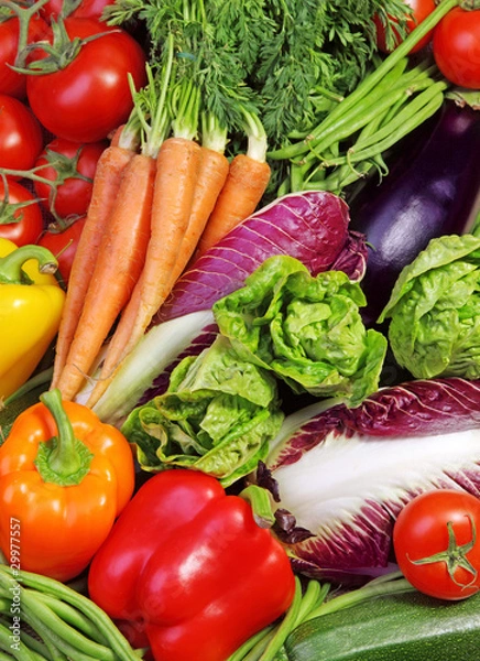 Fototapeta Assortment of fresh vegetables close up