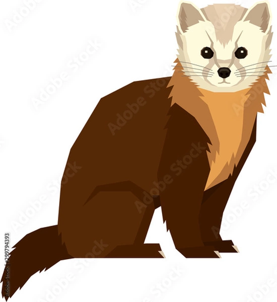 Fototapeta Wild animals Vector illustration Pine Marten Isolated object Geometric style