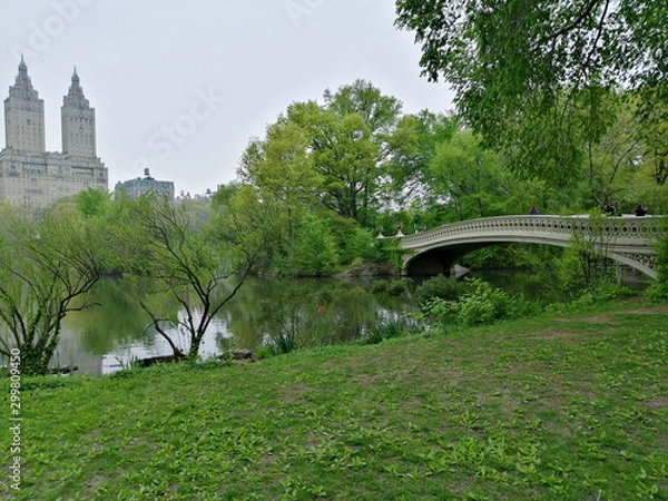 Obraz Central Park New York