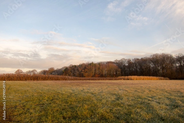 Obraz champ foret orleans