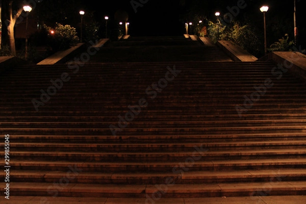 Obraz Coimbra University Steps