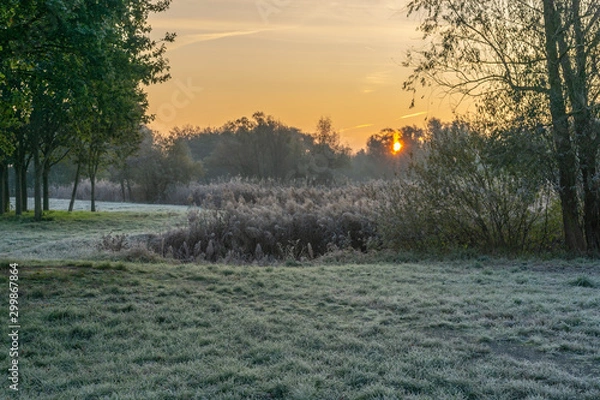 Obraz A park landscape in late autumn at sunrise and frost
